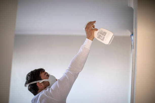 Best Fast Mold Removal  in Brightwaters, NY